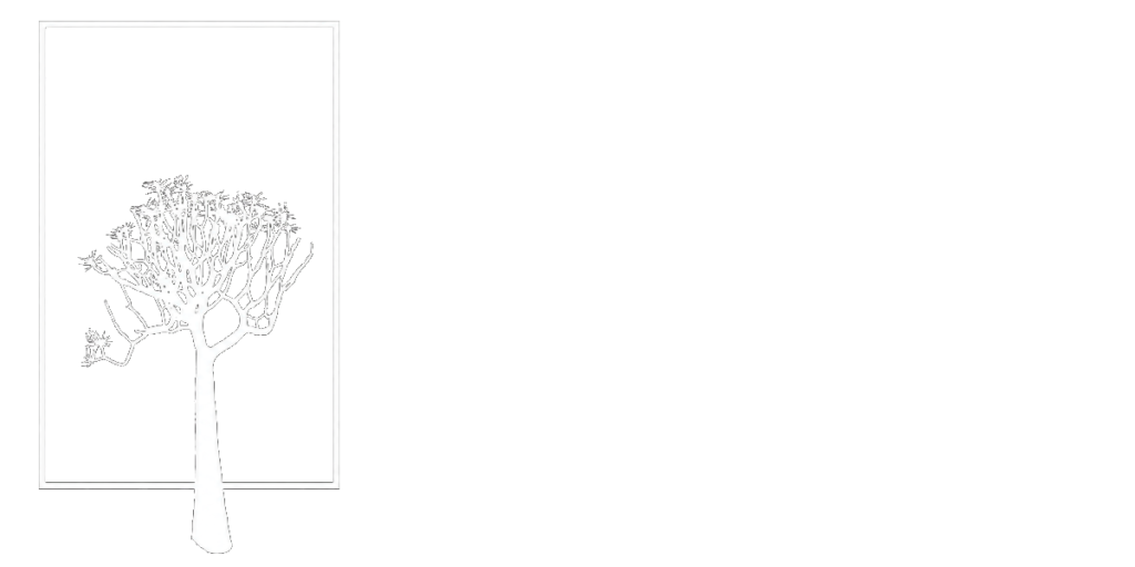 qtp logo trans white